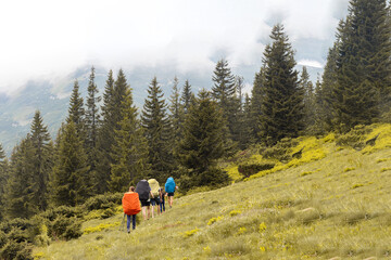 Fototapeta na wymiar group of tourists on a mountain meadow, hikers, friends, journey, bright colors, people with colorful backpacks walking on a green meadow among the mountains