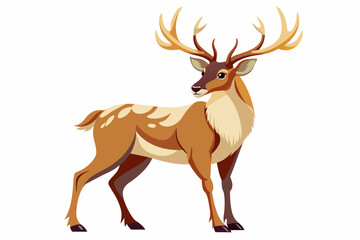 deer vector illustration with whit background 