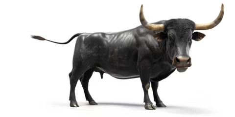 Foto op Plexiglas Black bull souvenir figurine Strongest dark brown bull with muscles and long horns portrait looking at camera isolated on clear background, Animals Fighter concept on white background.  © Farhan