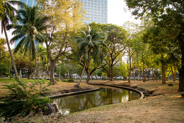 Fototapeta na wymiar Lumpini park. park and canel view in the afternoon Golden hour. Bangkok, Thailand
