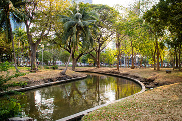 Fototapeta na wymiar Lumpini park. park and canel view in the afternoon Golden hour. Bangkok, Thailand