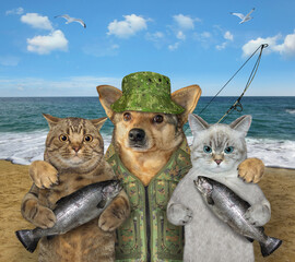 Dog fisher hugs two cats on seashore