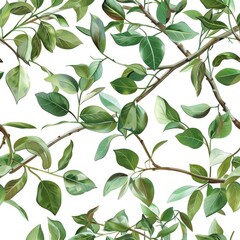 Naklejka premium Leaves Sprigs Twigs Leafage Stem Branch, Watercolor Style, Background For Banner, HD