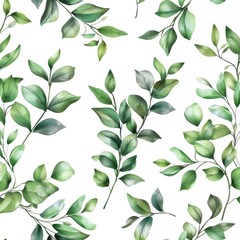 Leaves Sprigs Twigs Leafage Stem Branch, Watercolor Style, Background For Banner, HD