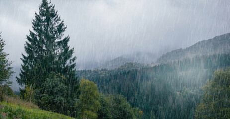Rain over the green forest mountains. Carpathian foggy mountain hills. Rainy day. - 778056254