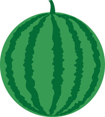 Red watermelon isolated vector.