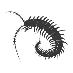 Silhouette centipede Insect animal black color only
