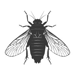 Silhouette cicada Insect animal black color only