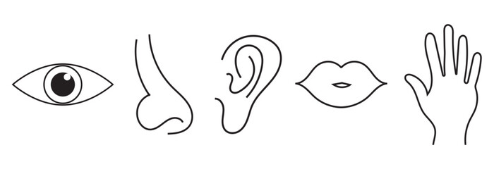 Five human senses editable stroke outline icons set isolated on white background . vector illustration. EPS 10 - obrazy, fototapety, plakaty