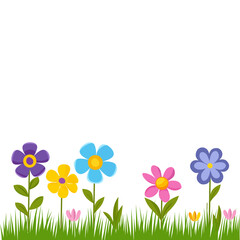 Obraz na płótnie Canvas colorful spring flowers on white background.
