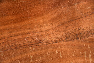 premium old wood texture natural color wood texture abstract background