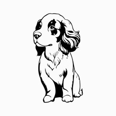 English Springer Spaniel Dog breed vector image Isolated black silhouette on white background Cute line art illustration 
