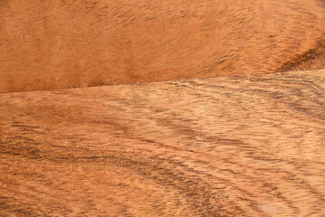 premium old wood texture natural color wood texture abstract background