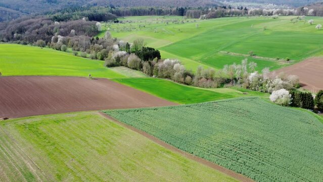 Drohne fliegt über strukturierte Agrarlandschaft mit Feldern, Wiesen und blühenden Bäumen im Frühling, Luftaufnahme
