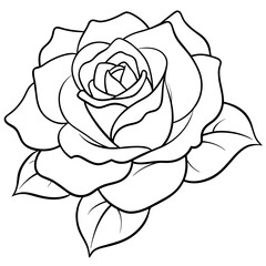  Flower vector illustration.


