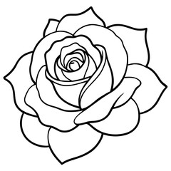  Flower vector illustration.

