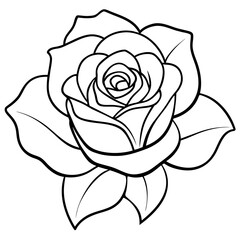 Fototapeta premium Flower vector illustration.