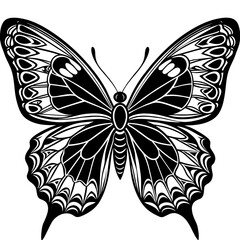   Butterfly vector illustration.


