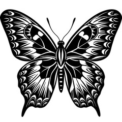   Butterfly vector illustration.


