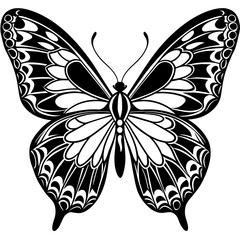   Butterfly vector illustration.


