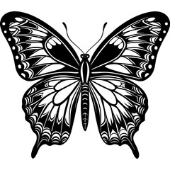   Butterfly vector illustration.


