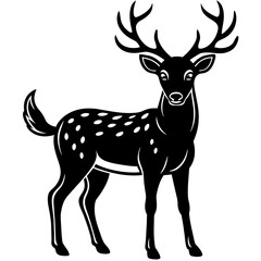     Deer vector illustration
