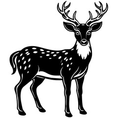    Deer vector illustration
