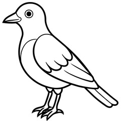Bird vector illustration.
