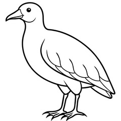 Bird vector illustration.
