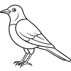 Bird vector illustration.
