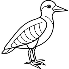 Bird vector illustration.
