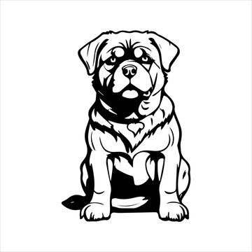 Rottweiler Dog breed vector image Isolated black silhouette on white background Cute line art illustration 
