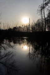 Obraz premium winter without snow and a river in a forest with bare trees