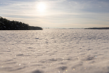 freshly fallen white cold snow in nature