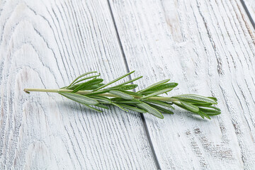 Rosemary branch - organic spicy herb