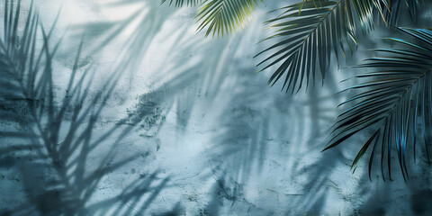 Fototapeta na wymiar Light shadows of tropical palm leaves on concrete wall background.