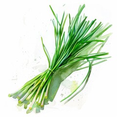 Watercolor clipart of a vibrant bunch of chives, green, on a white background