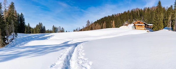 Fotobehang Wide panoramic view of winter landscape in Italian Dolomites in Kronplatz, Italy © beataaldridge