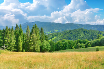 Summer lanscape in  mountains. View of the Luban range in the Gorce Mountains, Poland. - obrazy, fototapety, plakaty