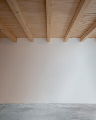 Front view of a white wall in an interior space. Cement floor and wooden ceiling