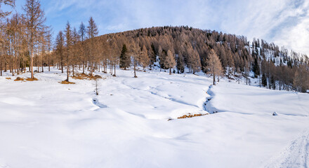 Wide panoramic view of winter landscape in Italian Dolomites in Kronplatz, Italy