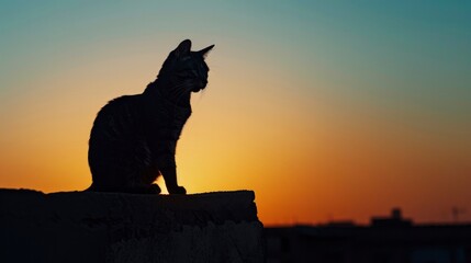 a plump cat silhouette sits atop an old city wall against the backdrop of a setting sun. As the sun sets behind it, the sky is colored orange and blue. - obrazy, fototapety, plakaty