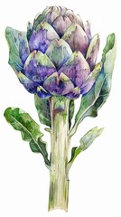 Watercolor artichoke, heart exposed, symbolizing superfood strength, isolated on white