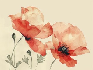 Watercolor Floral Design Showcasing Bold Red Poppies in Minimalist Layout