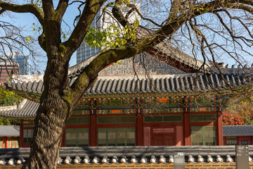 Palaces and trees in Korea