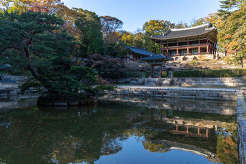 Fototapeta na wymiar palace garden in korea