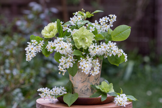 Blumenstrau&szlig; mit Bl&uuml;ten Gew&ouml;hnlicher Traubenkirsche und Lenzrosen