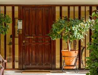 A contemporary design house wood and glass entrance with a decorative flower pot. Travel to Athens, Greece. - 778115278