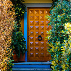 A contemporary design house entrance with a wooden door between lush foliage. Travel to Athens, Greece. - 778115284