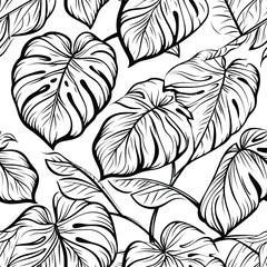 Vector Seamless Watercolor Pattern colorful Design a colorful vintage background with  hand-drawn a black and white pattern monstera leafs